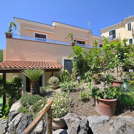La Rosa - Luxury * Ischia