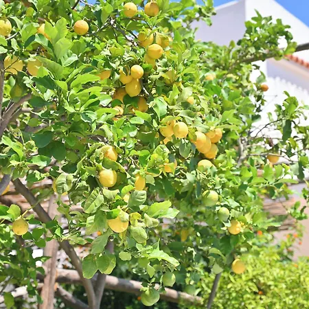 La Rosa - Luxury לינה וארוחת בוקר 4*